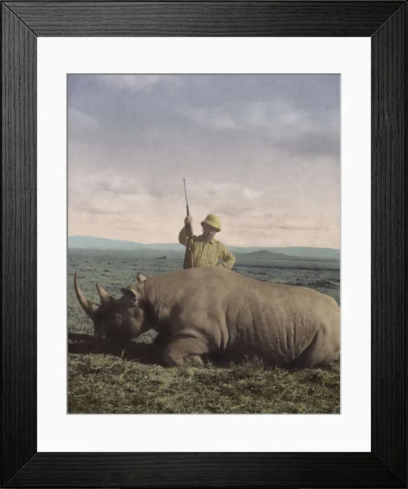 Framed Print : Theodore Roosevelt triumphant after killing a big bull rhino in Africa in 1909 Framed Print : Theodore Roosevelt triumphant after killing a big bull rhino in Africa in 1909
