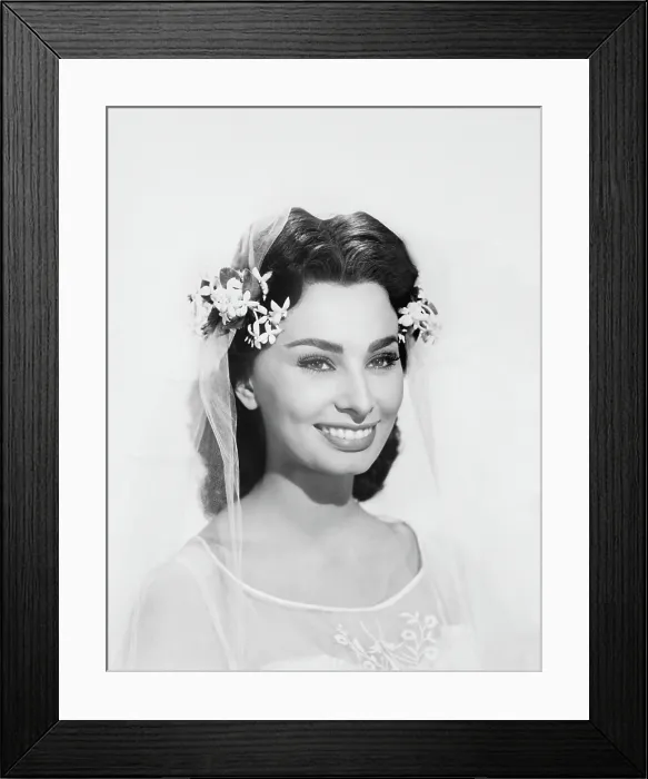 Framed Print : THE BLACK ORCHID, Sophia Loren, 1959 Framed Print : THE BLACK ORCHID, Sophia Loren, 1959