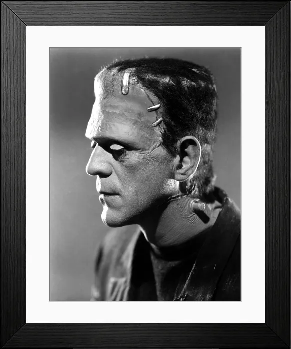 Framed Print : BRIDE OF FRANKENSTEIN, Boris Karloff, 1935 Framed Print : BRIDE OF FRANKENSTEIN, Boris Karloff, 1935