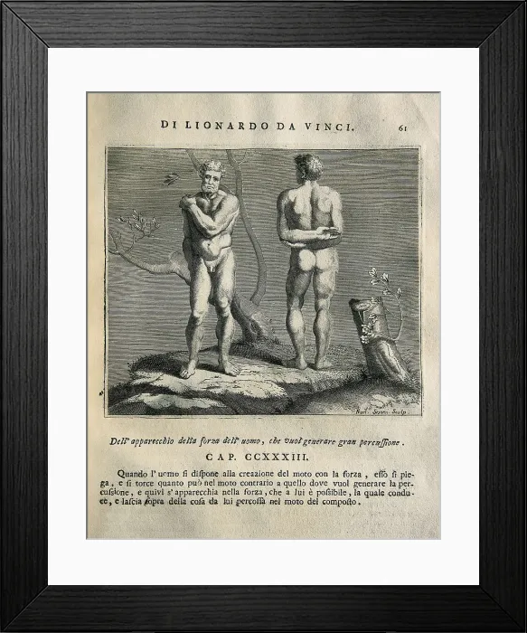 Framed Print : LEONARDO DA VINCI (1452-1519). 'Teatrise on Painting'. Edition printed in Naples by Francesco Ricciardo and Vincenzo and Nicola Rispoli (1733)