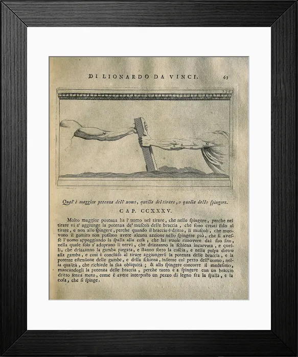 Framed Print : LEONARDO DA VINCI (1452-1519). 'Teatrise on Painting'. Edition printed in Naples by Francesco Ricciardo and Vincenzo and Nicola Rispoli (1733) Framed Print : LEONARDO DA VINCI (1452-1519). 'Teatrise on Painting'. Edition printed in Naples by Francesco Ricciardo and Vincenzo and Nicola Rispoli (1733)
