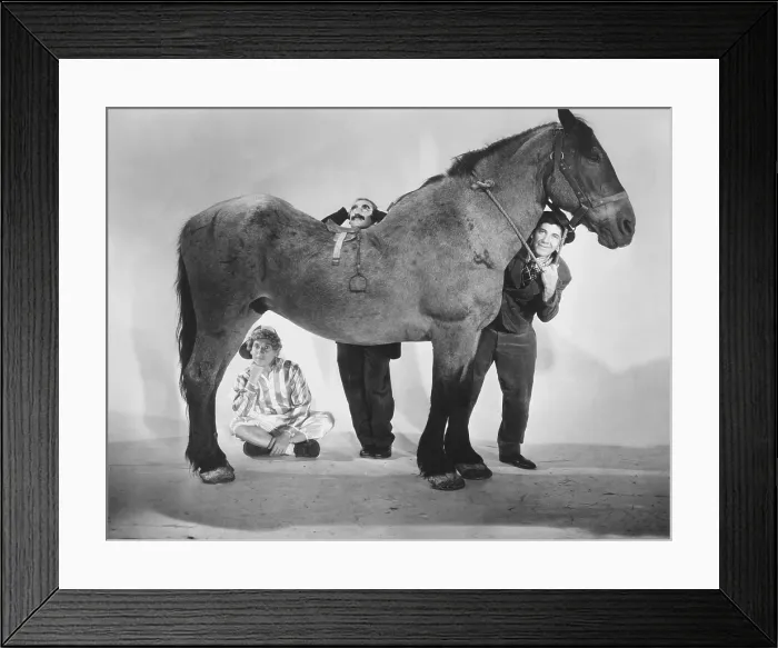Framed Print : A DAY AT THE RACES, from left: Harpo Marx, Groucho Marx, Chico Marx, 1937 Framed Print : A DAY AT THE RACES, from left: Harpo Marx, Groucho Marx, Chico Marx, 1937