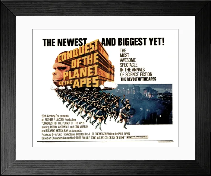 Framed Print : CONQUEST OF THE PLANET OF THE APES, poster, 1972, (c) 20th Century Fox, TM & Copyright  /  Courtesy: Everett Collection