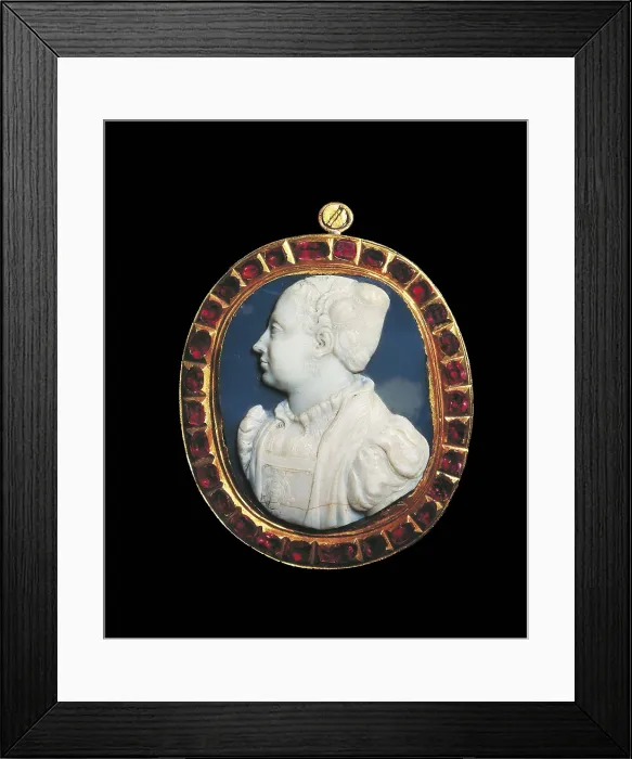 Framed Print : CATHERINE de Medicis (1519-1589). Cameo with the image of Catherine de Medicis. Jewelry. ITALY. Florence. Silver Museum (Pitti Palace). AISA / Everett Collection**US SALES ONLY** Framed Print : CATHERINE de Medicis (1519-1589). Cameo with the image of Catherine de Medicis. Jewelry. ITALY. Florence. Silver Museum (Pitti Palace). AISA / Everett Collection**US SALES ONLY**