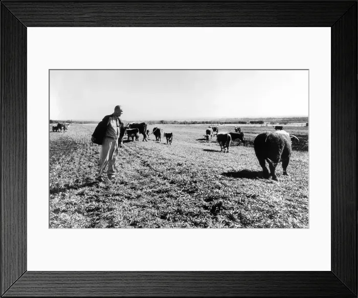 Framed Print : President Lyndon and Lady Bird Johnson sitting on a fence at the LBJ Ranch. They were proud Texans and celebrated Texas clothing, food, and lifestyle. 1964