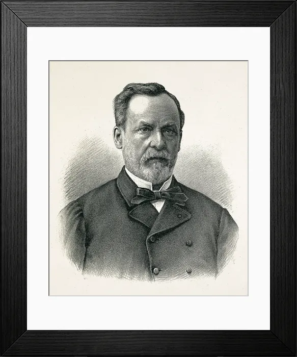 Framed Print : PASTEUR, Louis (1822-1895). Litography. SPAIN. Madrid. National Library. AISA / Everett Collection**US SALES ONLY** Framed Print : PASTEUR, Louis (1822-1895). Litography. SPAIN. Madrid. National Library. AISA / Everett Collection**US SALES ONLY**