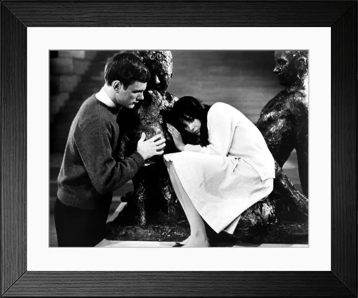 Framed Print : DAVID AND LISA, Kier Dullea, Janet Margolin, 1962 Framed Print : DAVID AND LISA, Kier Dullea, Janet Margolin, 1962