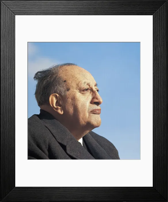 Framed Print : ASTURIAS, Miguel Angel (1899-1974). AISA / Everett Collection**US SALES ONLY**