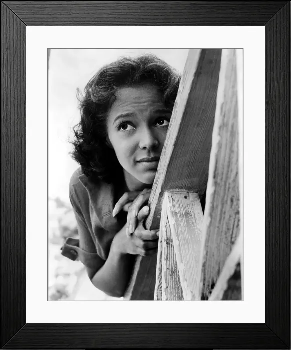 Framed Print : ISLAND IN THE SUN, Dorothy Dandridge, 1957, TM and (c) 20th Century Fox / courtesy Everett Collection Framed Print : ISLAND IN THE SUN, Dorothy Dandridge, 1957, TM and (c) 20th Century Fox / courtesy Everett Collection