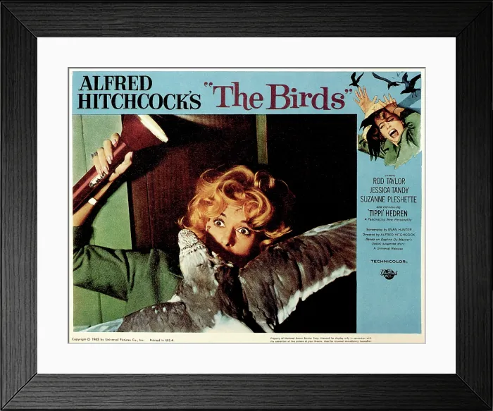 Framed Print : THE BIRDS, Tippi Hedren, 1963