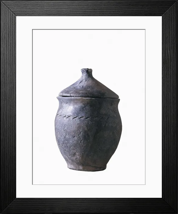 Framed Print : Funerary from Pla de Santa Brbara. Iron Age. Ceramics. SPAIN. Montblanc. Conca de Barber Regional Museum. Proc: SPAIN. Montblanc. AISA / Everett Collection**US SALES ONLY**