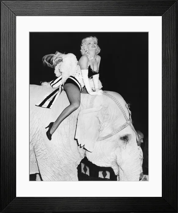 Framed Print : Marilyn Monroe, at the premiere of Ringling Brothers and Barnum & Bailey circus in Madison Square Garden, March 31, 1955