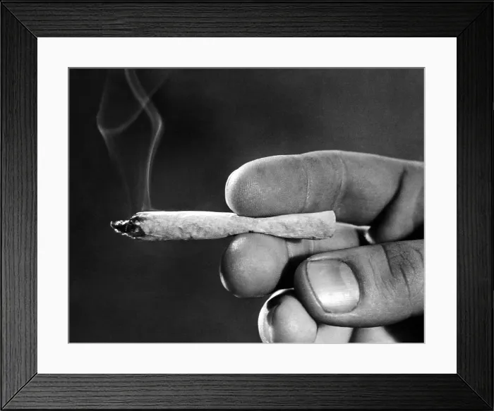 Framed Print : Hand holding a lit Marijuana cigarette. Ca. 1968. (CSU_ALPHA_1351) CSU Archives / Everett Collection Framed Print : Hand holding a lit Marijuana cigarette. Ca. 1968. (CSU_ALPHA_1351) CSU Archives / Everett Collection