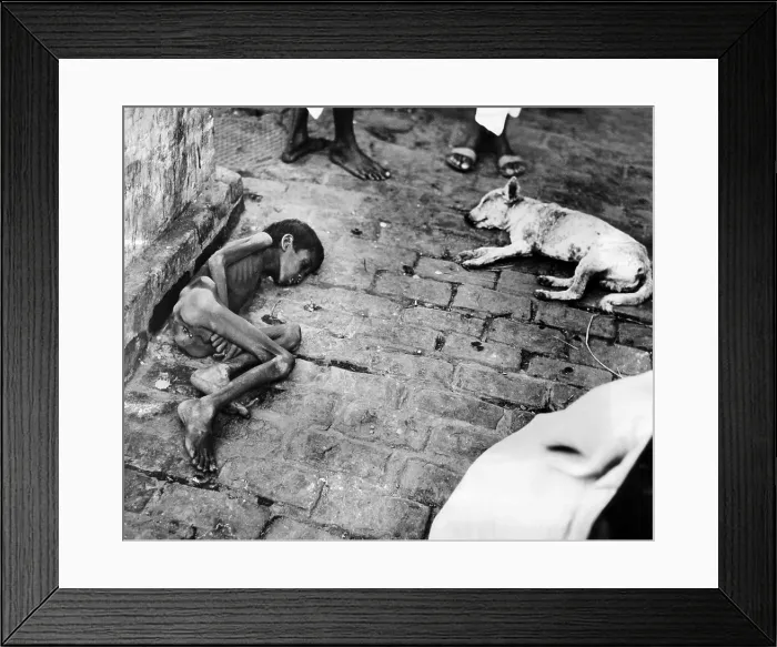 Framed Print : In Calcutta at the peak of India's famine in late October 1943. A dead Hindu boy and his dog await removal. (CSU_ALPHA_1460) CSU Archives / Everett Collection