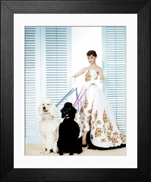 Framed Print : SABRINA, Audrey Hepburn (wearing a Givenchy gown), 1954