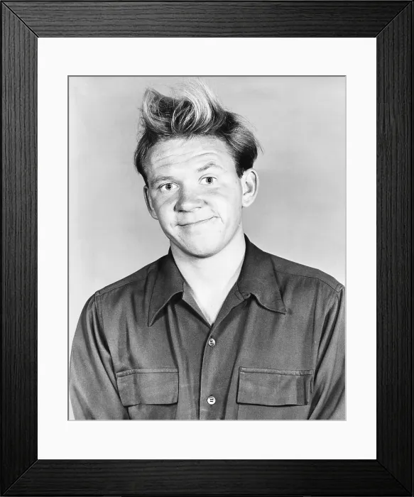 Framed Print : DANGER SIGNAL, Richard Erdman, 1945