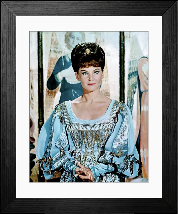 Framed Print : THE AGONY AND THE ECSTASY, Diane Cilento, 1965 TM and Copyright 20th Century Fox Film Corp. All rights reserved. Courtesy: Everett Collection