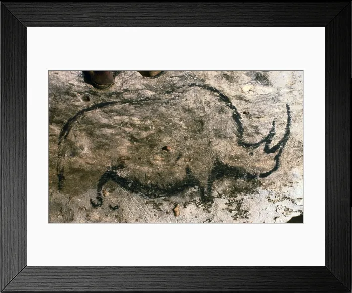 Framed Print : FRANCE. Rouffignac. Rouffignac Caves. Shaggy rhinoceros. Upper Paleolithic. Cave. AISA / Everett Collection**US SALES ONLY**