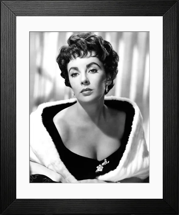 Framed Print : Elizabeth Taylor, ca. 1954 Framed Print : Elizabeth Taylor, ca. 1954