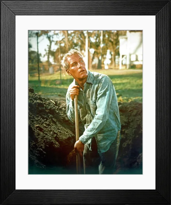 Framed Print : COOL HAND LUKE, Paul Newman, 1967