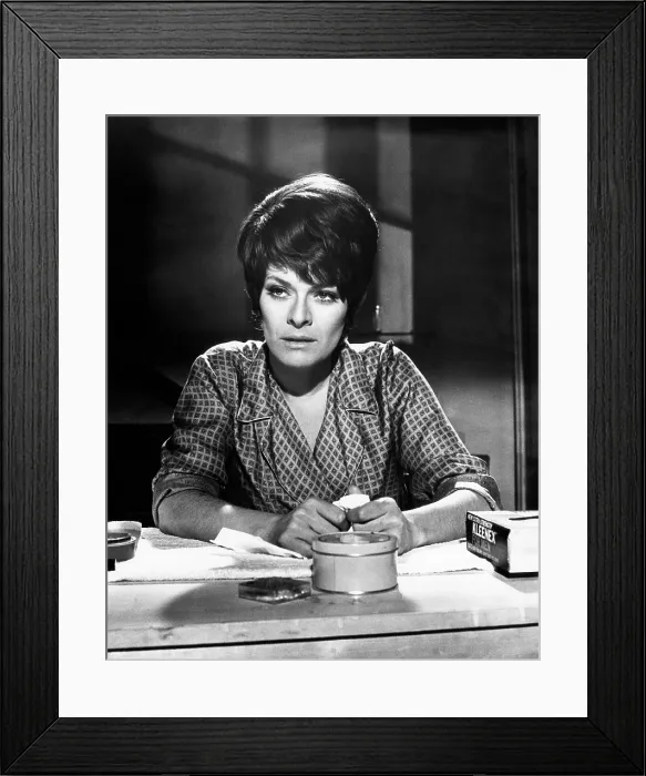 Framed Print : A DAY IN THE DEATH OF JOE EGG, Janet Suzman, 1972 Framed Print : A DAY IN THE DEATH OF JOE EGG, Janet Suzman, 1972