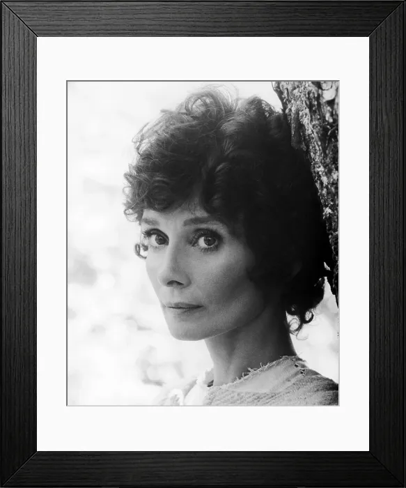 Framed Print : ROBIN AND MARIAN, Audrey Hepburn, 1976 Framed Print : ROBIN AND MARIAN, Audrey Hepburn, 1976