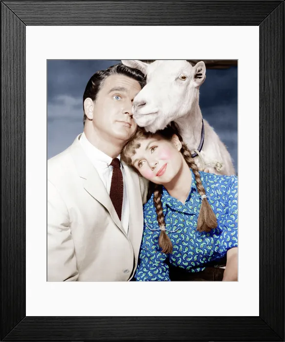 Framed Print : TAMMY AND THE BACHELOR, from left: Leslie Nielsen, Debbie Reynolds, 1957 Framed Print : TAMMY AND THE BACHELOR, from left: Leslie Nielsen, Debbie Reynolds, 1957