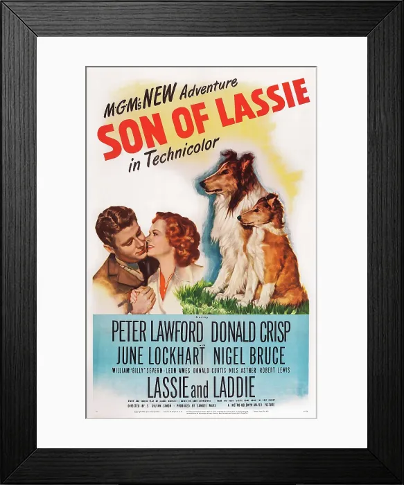 Framed Print : SON OF LASSIE, US poster art, Peter Lawford, June Lockhart, 1945 Framed Print : SON OF LASSIE, US poster art, Peter Lawford, June Lockhart, 1945
