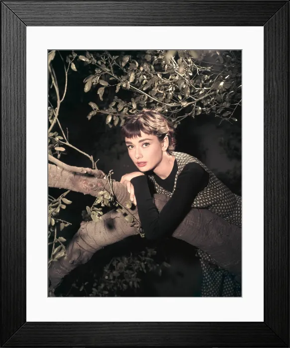 Framed Print : SABRINA, Audrey Hepburn, 1954