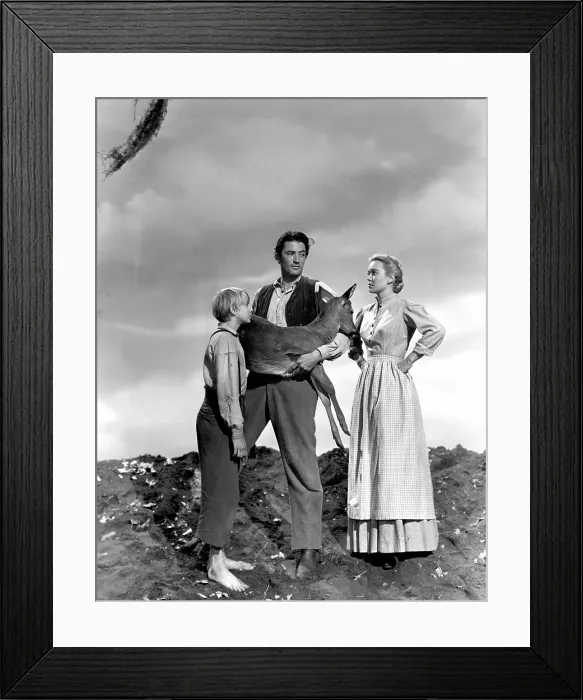 Framed Print : THE YEARLING, Claude Jarman, Jr. Gregory Peck, Jane Wyman, 1946 Framed Print : THE YEARLING, Claude Jarman, Jr. Gregory Peck, Jane Wyman, 1946