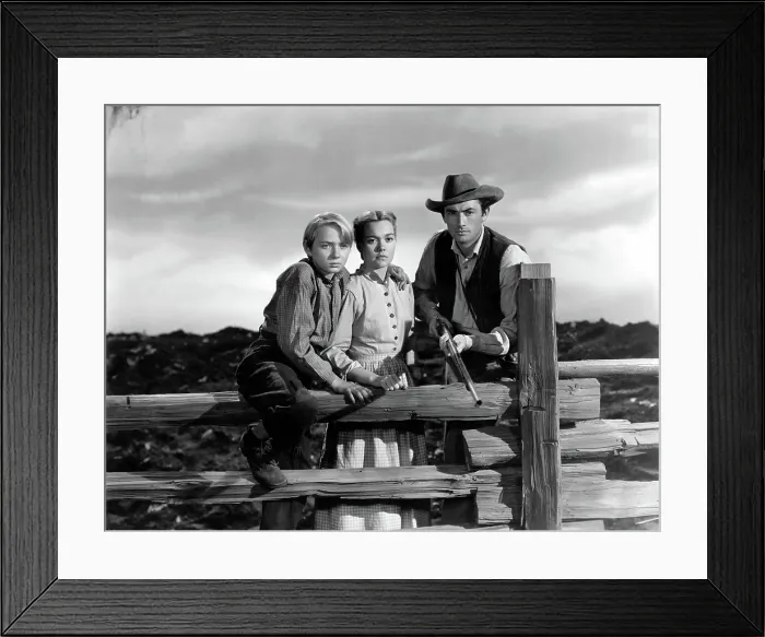 Framed Print : THE YEARLING, Claude Jarman Jr. Jane Wyman, Gregory Peck, 1946