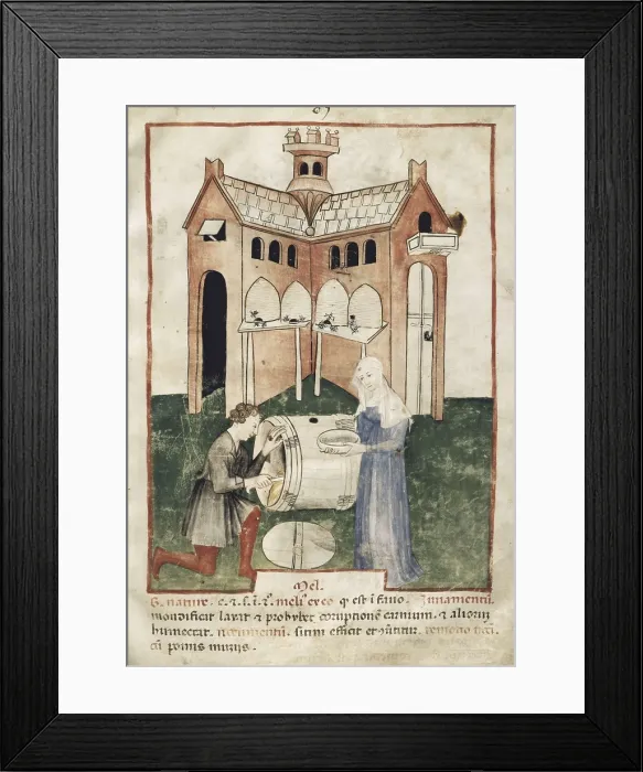 Framed Print : ALBUCASIS o ABU-I-KASIM BEN ABBAS AZ-ZAHRAWI (936-1013). Tacuinum Sanitatis. ca. 1390-1400. Medical Enciclopedy by Wenceslas of Bohemia. Folio 82: Properties of honey. Gothic art Framed Print : ALBUCASIS o ABU-I-KASIM BEN ABBAS AZ-ZAHRAWI (936-1013). Tacuinum Sanitatis. ca. 1390-1400. Medical Enciclopedy by Wenceslas of Bohemia. Folio 82: Properties of honey. Gothic art