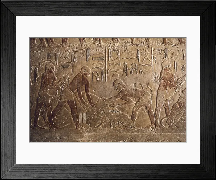 Framed Print : Mastaba of Ti. EGYPT. Saqqara. Mastaba of Ti. Bull sacrifice. Egyptian art. Old Kingdom. Relief. AISA / Everett Collection**US SALES ONLY**
