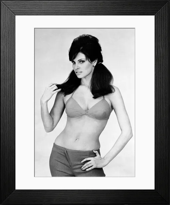 Framed Print : THE BIGGEST BUNDLE OF THEM ALL, Raquel Welch, 1968