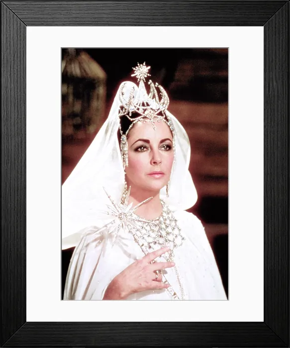 Framed Print : THE BLUE BIRD, Elizabeth Taylor, 1976. TM & copyright 20th Century Fox Film Corp. All rights reserved / courtesy Everett Collection Framed Print : THE BLUE BIRD, Elizabeth Taylor, 1976. TM & copyright 20th Century Fox Film Corp. All rights reserved / courtesy Everett Collection