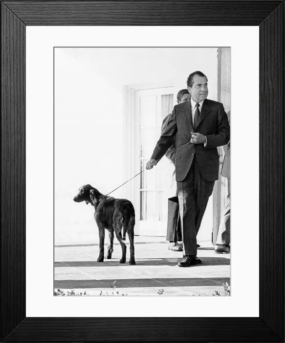Framed Print : Richard Nixon with his six month old Irish Setter, King Timahoe. The dog was a gift from his staff, and was named for his mother's family home, the Irish town of Timahoe. Feb