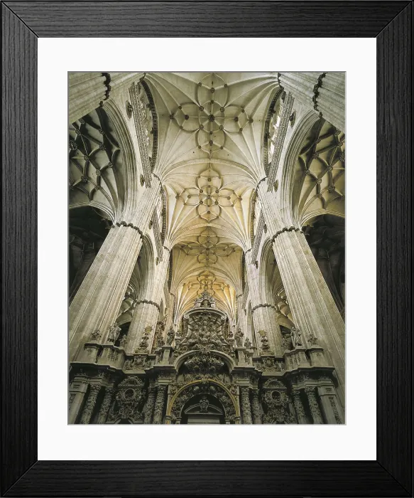 Framed Print : CHURRIGUERA, Alberto (1676-1740); GIL DE HONTAON, Rodrigo (1500-1577); JUAN de ALAVA ( -1537); GIL DE HONTAON, Juan (1480-1526). New Cathedral of the Virgin of the Assumption