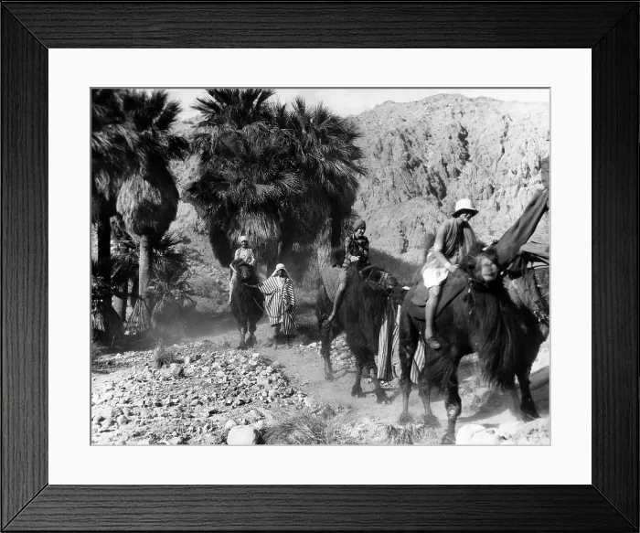 Framed Print : Camel riders in California. The camels were introduced to the planned desert development of Biskra, in the Coachchella Valley, east of Palm Springs. Sept. 1928