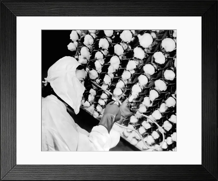 Framed Print : Manufacturing the new wonder drug, penicillin. The Pharmaceutical worked inoculates a sterile culture with seed spores of penicillium notatum