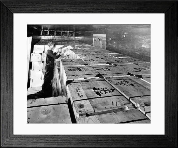 Framed Print : Worker loading the first full box carload shipment of penicillin in Sept. 1944. In June 1942 the total supply would treat only 10 patients Framed Print : Worker loading the first full box carload shipment of penicillin in Sept. 1944. In June 1942 the total supply would treat only 10 patients
