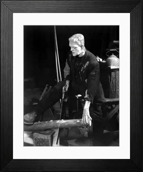 Framed Print : BRIDE OF FRANKENSTEIN, Boris Karloff, on set, 1935