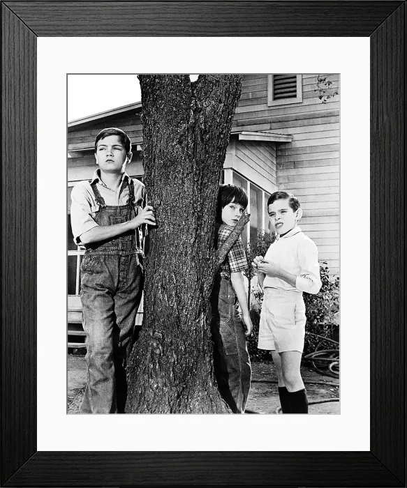 Framed Print : TO KILL A MOCKINGBIRD, Philip Alfrod, Mary Badham, John Megna, 1962 Framed Print : TO KILL A MOCKINGBIRD, Philip Alfrod, Mary Badham, John Megna, 1962