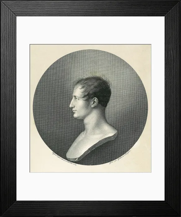 Framed Print : BONAPARTE, Joseph (1768-1844). Roman style portrait (1807). Etching. SPAIN. Madrid. Municipal Museum. AISA / Everett Collection**US SALES ONLY** Framed Print : BONAPARTE, Joseph (1768-1844). Roman style portrait (1807). Etching. SPAIN. Madrid. Municipal Museum. AISA / Everett Collection**US SALES ONLY**