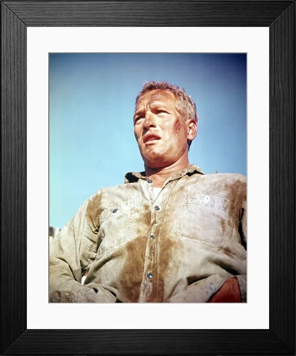 Framed Print : COOL HAND LUKE, Paul Newman, 1967 Framed Print : COOL HAND LUKE, Paul Newman, 1967