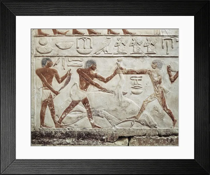 Framed Print : Mastaba of Princess Idut. 24th c. BC. EGYPT. Saqqara. Slaughter scene. Egyptian art. Old Kingdom. Relief. AISA / Everett Collection**US SALES ONLY**