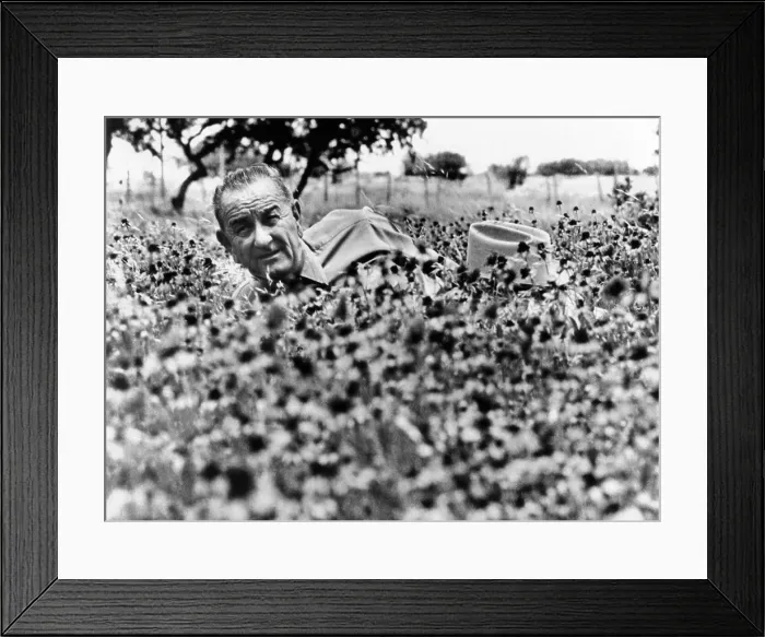 Framed Print : President Lyndon Johnson lying in a field of flower at the LBJ Ranch. Summer, 1966. (CSU_ALPHA_734) CSU Archives / Everett Collection