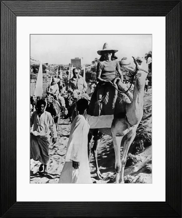 Framed Print : Jacqueline Kennedy Onassis on vacation in Egypt. The expert equestrian leads a tourist camel train in Aswan, Egypt. March 28, 1974. (CSU_ALPHA_788) CSU Archives / Everett Collection