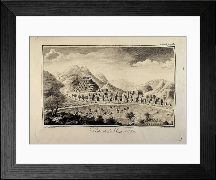Framed Print : CAVANILLES PALOP, Antonio Jos (1745-1804)