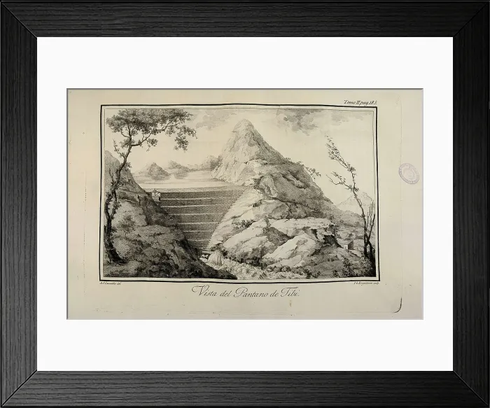 Framed Print : CAVANILLES PALOP, Antonio Jos (1745-1804) Framed Print : CAVANILLES PALOP, Antonio Jos (1745-1804)