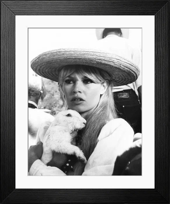 Framed Print : Brigitte Bardot with a white rabbit between scenes of VIVA MARIA, on location in Mexico. Sept. 22, 1965 - (CSU_2015_6_226) Framed Print : Brigitte Bardot with a white rabbit between scenes of VIVA MARIA, on location in Mexico. Sept. 22, 1965 - (CSU_2015_6_226)